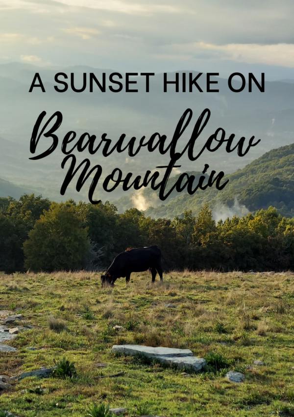 Hike Bearwallow Mountain Trail at Sunset