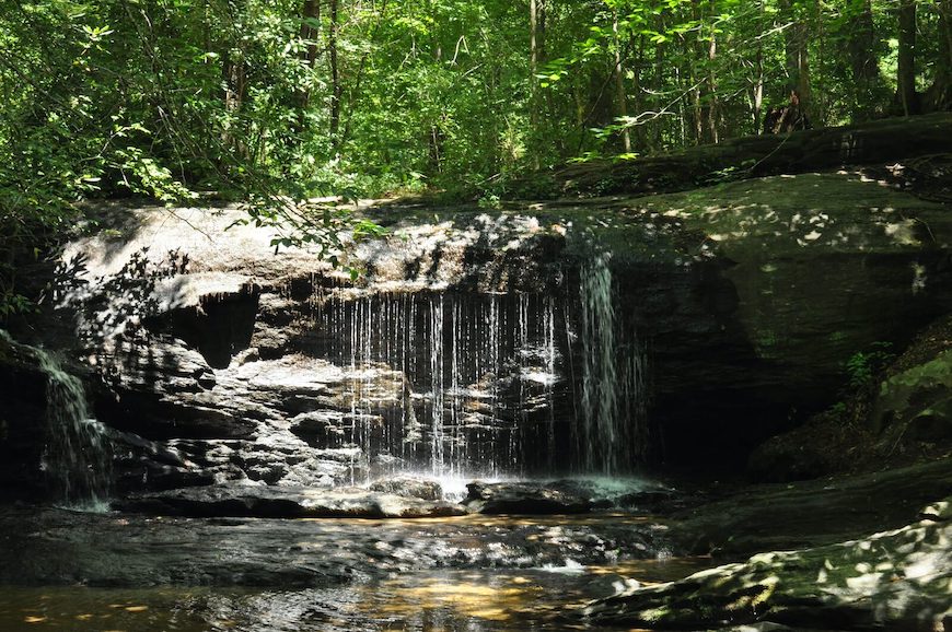 Short waterfalls dump into a shallow pool at Wildcat Wayside Branch.