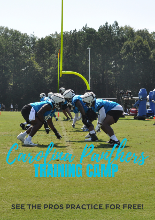 Carolina Panthers Training Camp: See the Football Pros Practice for Free